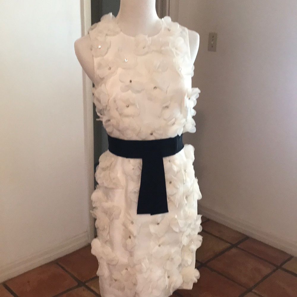 Silk Organza dress brand new never worn.Size 0